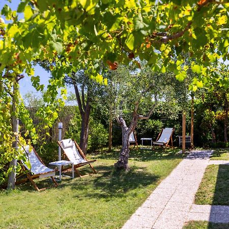 Aria Di Mare Vieste - Luxury Apartments By The Sea Экстерьер фото
