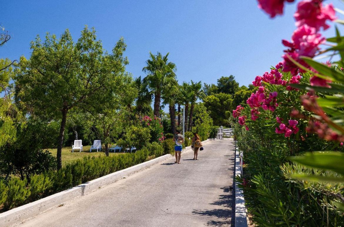 Aria Di Mare Vieste - Luxury Apartments By The Sea Экстерьер фото