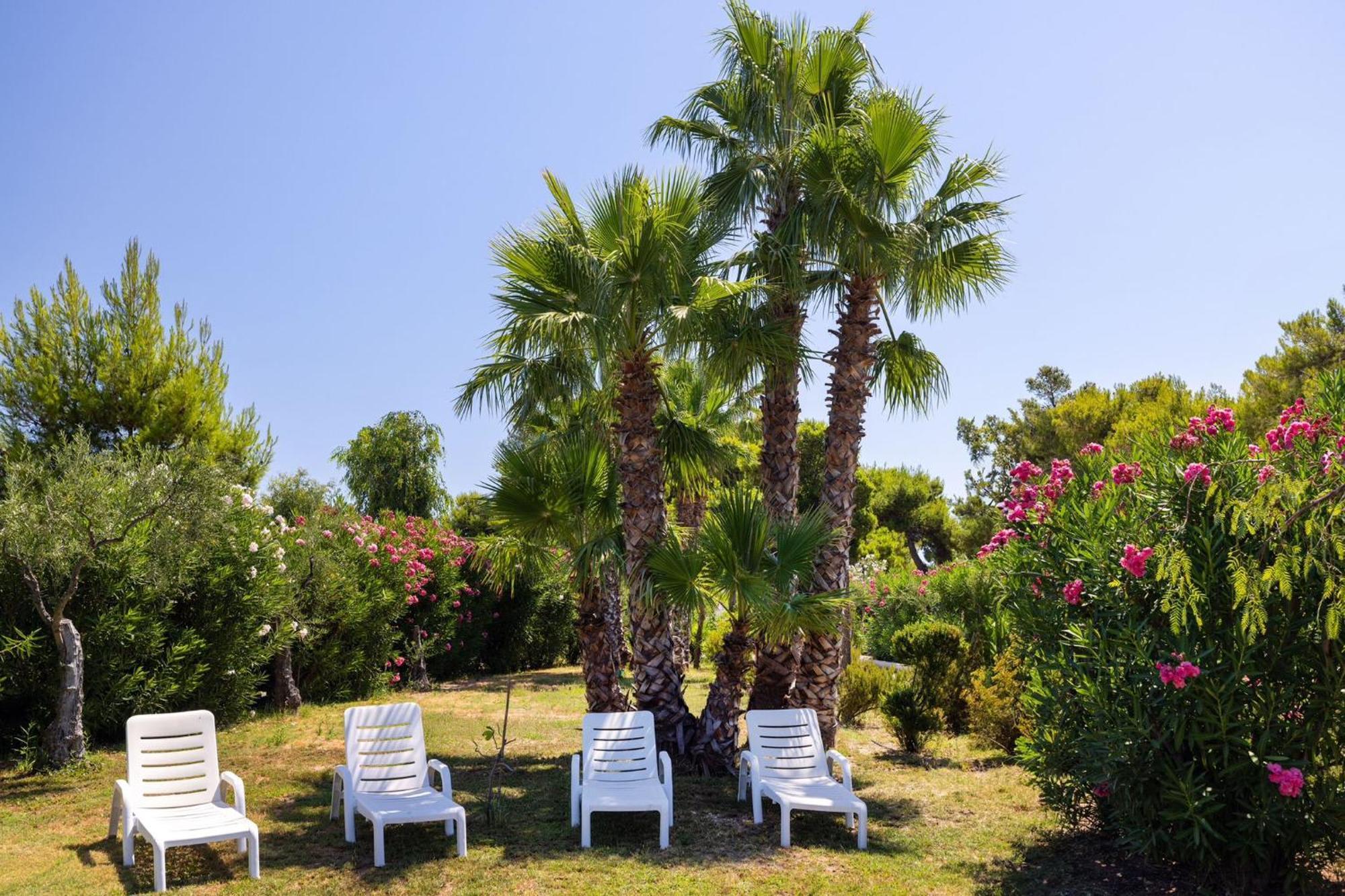Aria Di Mare Vieste - Luxury Apartments By The Sea Экстерьер фото